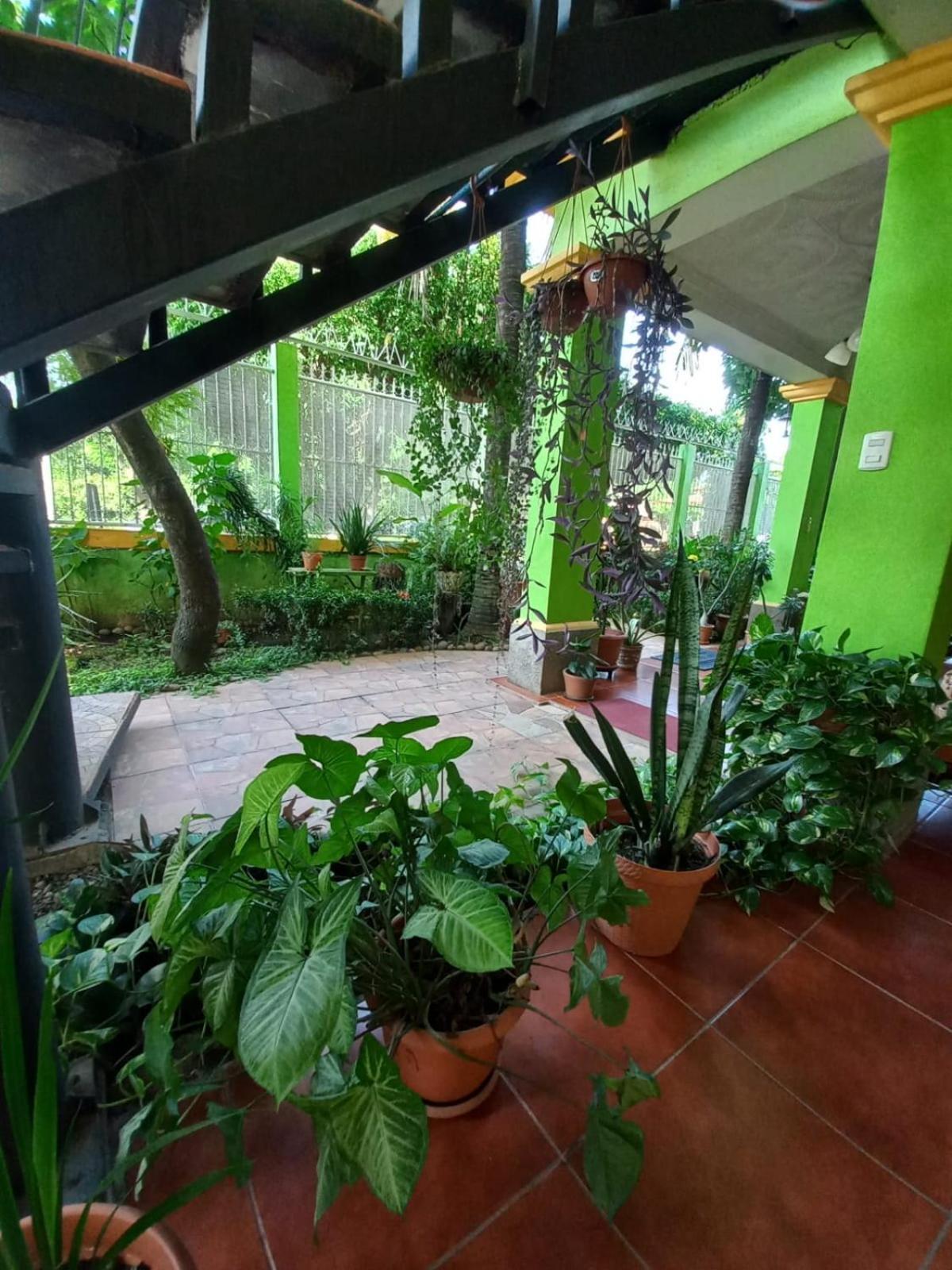 לאון Hostal San Antonio מראה חיצוני תמונה