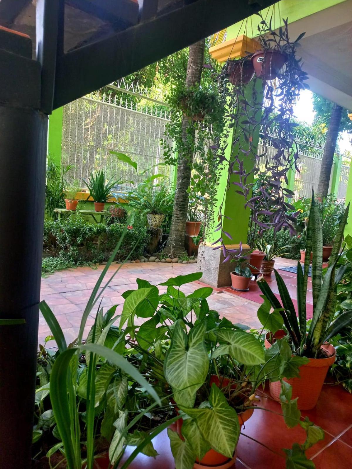 לאון Hostal San Antonio מראה חיצוני תמונה